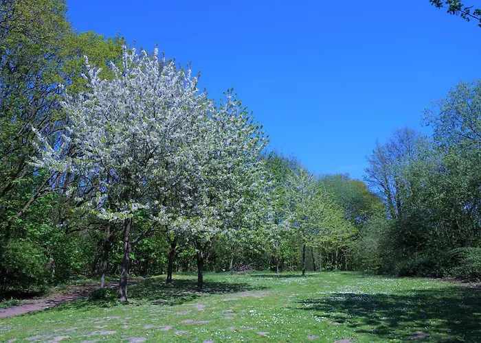 Panoramic App A04-5 Appartamento Sierksdorf